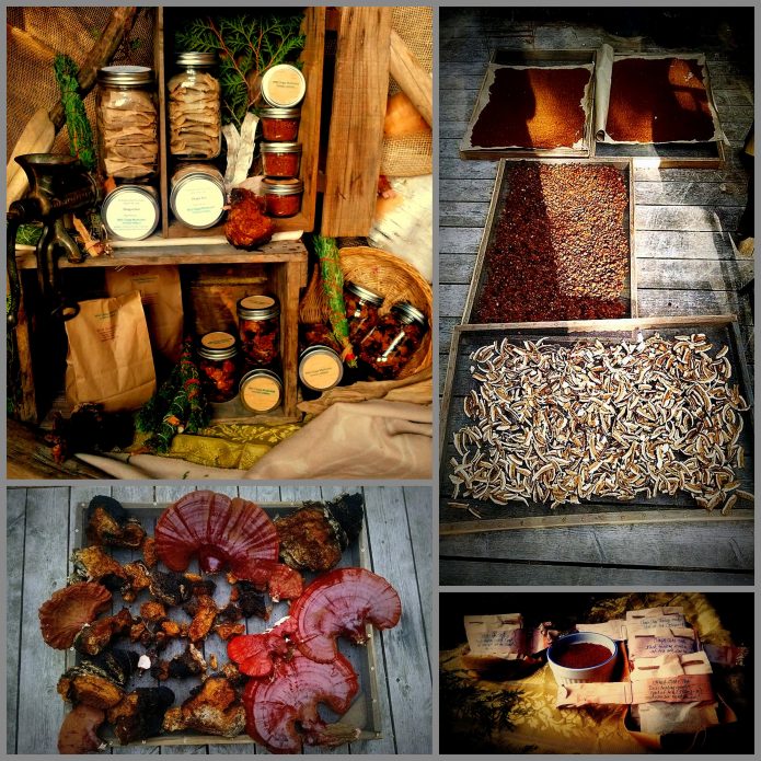 wild solutions pics5