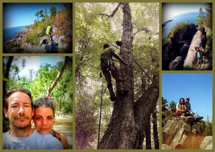 wild solutions pics6